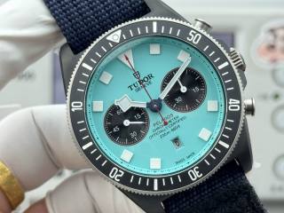 2026.01.06 Tudor Watch 43mm 174