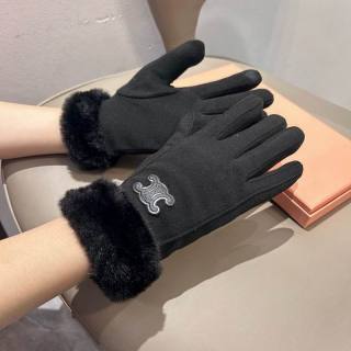 2026.01.07 Super Perfect Celine Gloves 018