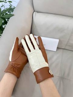 2026.01.07 Super Perfect Hermes Gloves 062