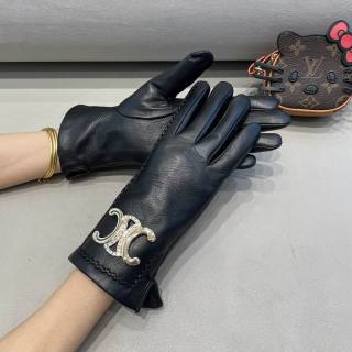2026.01.07 Super Perfect Celine Gloves 024