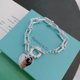 2024.12.17 Tiffany Bracelet 129