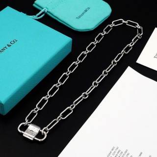 2024.12.17 Tiffany Necklace 070
