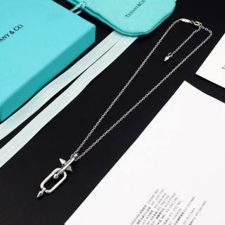 2024.12.17 Tiffany Necklace 074
