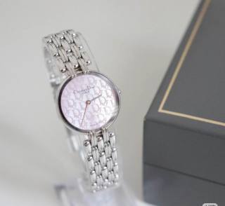 2025.02.28 Dior Watch 28mm 097