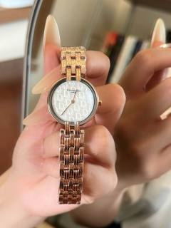 2025.02.28 Dior Watch 28mm 103