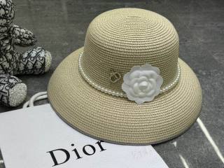 2025.03.14 Super Perfect Dior Hat 3162