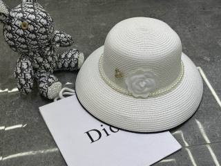 2025.03.14 Super Perfect Dior Hat 3163