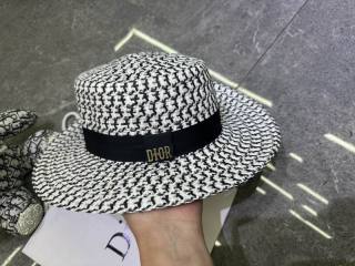 2025.03.14 Super Perfect Dior Hat 3158