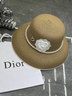 2025.03.14 Super Perfect Dior Hat 3161