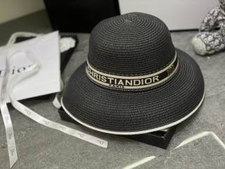 2025.03.14 Super Perfect Dior Hat 3165