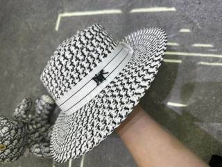 2025.03.14 Super Perfect Dior Hat 3154