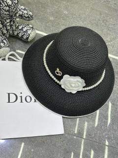 2025.03.14 Super Perfect Dior Hat 3160