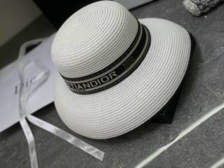 2025.03.14 Super Perfect Dior Hat 3164