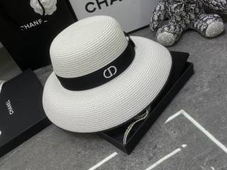 2025.03.14 Super Perfect Dior Hat 3169