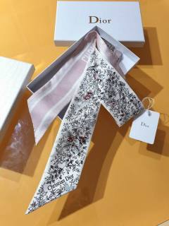 2025.05.09 Super Perfect Dior Scarf 6X105cm 535
