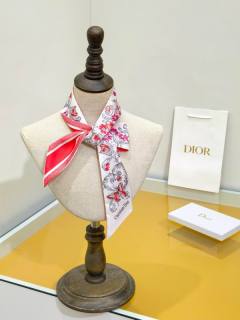 2025.05.09 Super Perfect Dior Scarf 6X105cm 527