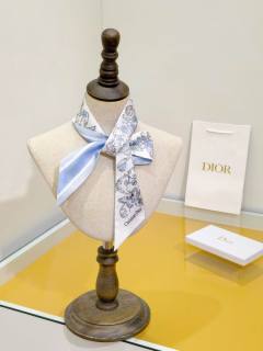 2025.05.09 Super Perfect Dior Scarf 6X105cm 526