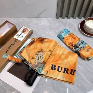 2025.05.26 Burberry Umbrella 101
