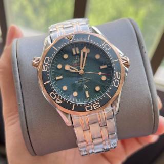 2025.09.09 Omega Watch 1029