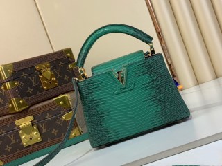 2025.09.19 Authentic LV Bag 665