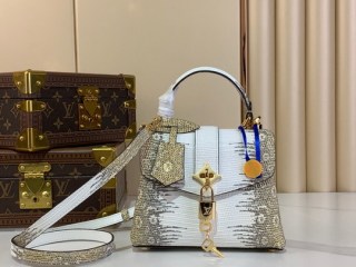 2025.09.19 Authentic LV Bag 678