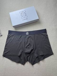 2027.11.03 Super Perfect Loewe boxer L-4XL 099