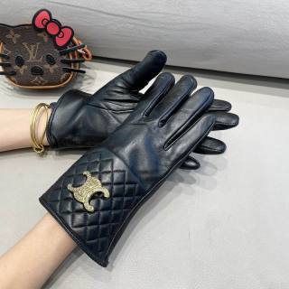 2025.11.24 Super Perfect Celine Gloves 014