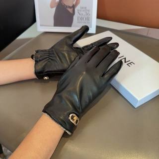 2025.11.24 Super Perfect Celine Gloves 015