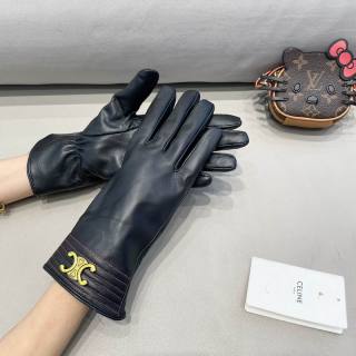 2025.11.24 Super Perfect Celine Gloves 016