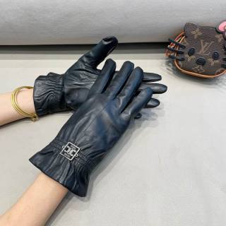 2025.11.24 Super Perfect Celine Gloves 013