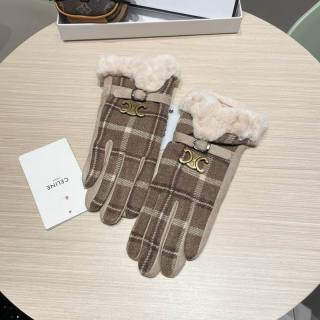 2025.11.24 Super Perfect Celine Gloves 010