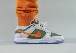Nike SB Dunk Low (49)