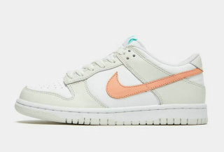 Nike SB Dunk Low (51)