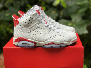 Perfect Air Jordan 6 shoes (41)