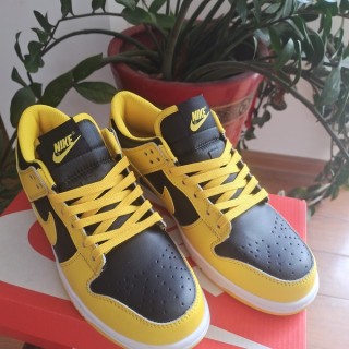 Nike Dunk SB Low (62)