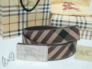 Burberry Belt AAA (46)