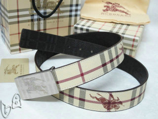 Burberry Belt AAA (44)