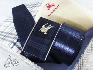 Burberry Belt AAA (72)
