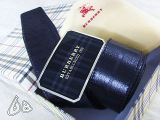 Burberry Belt AAA (73)