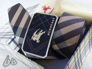 Burberry Belt AAA (78)