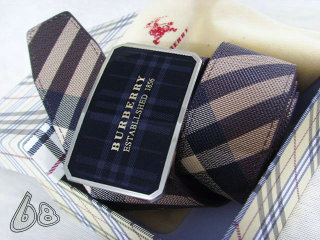 Burberry Belt AAA (79)