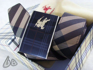 Burberry Belt AAA (80)