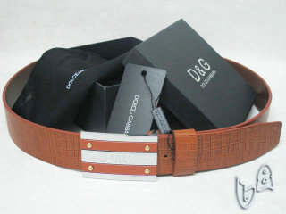 D&G Belt AAA (26)