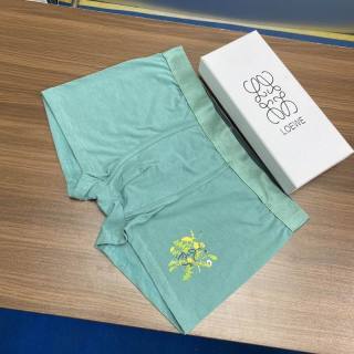 2024.05.27 Loewe boxer L-3XL 095