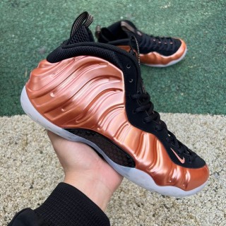 Nike Air Foamposite One (1)