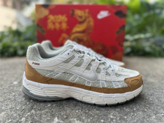 Authentic Nike P-6000 (15)