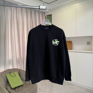 2025.12.17  Arcteryx Hoodie S-2XL 877