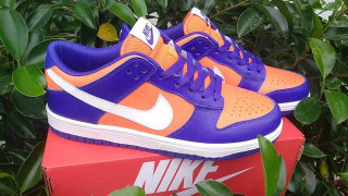 Nike SB Dunk Low Women (23)
