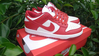 Nike SB Dunk Low Women (22)