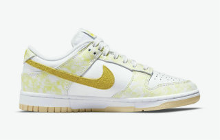 Nike SB Dunk Low Women (41)